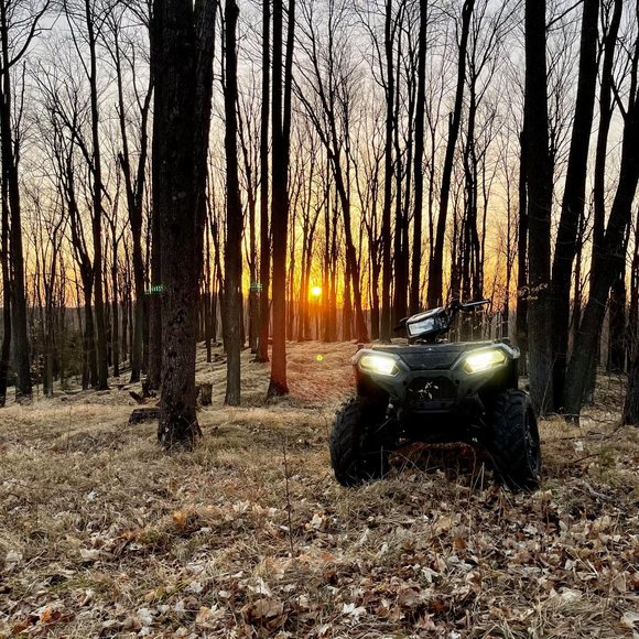 Meet your Posher, Caleb - Picture 1 of 1